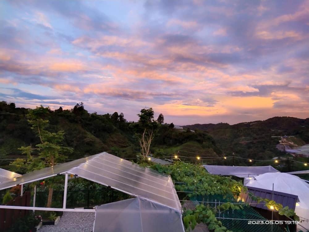 ホテル Glamz Hills キャメロンハイランド エクステリア 写真